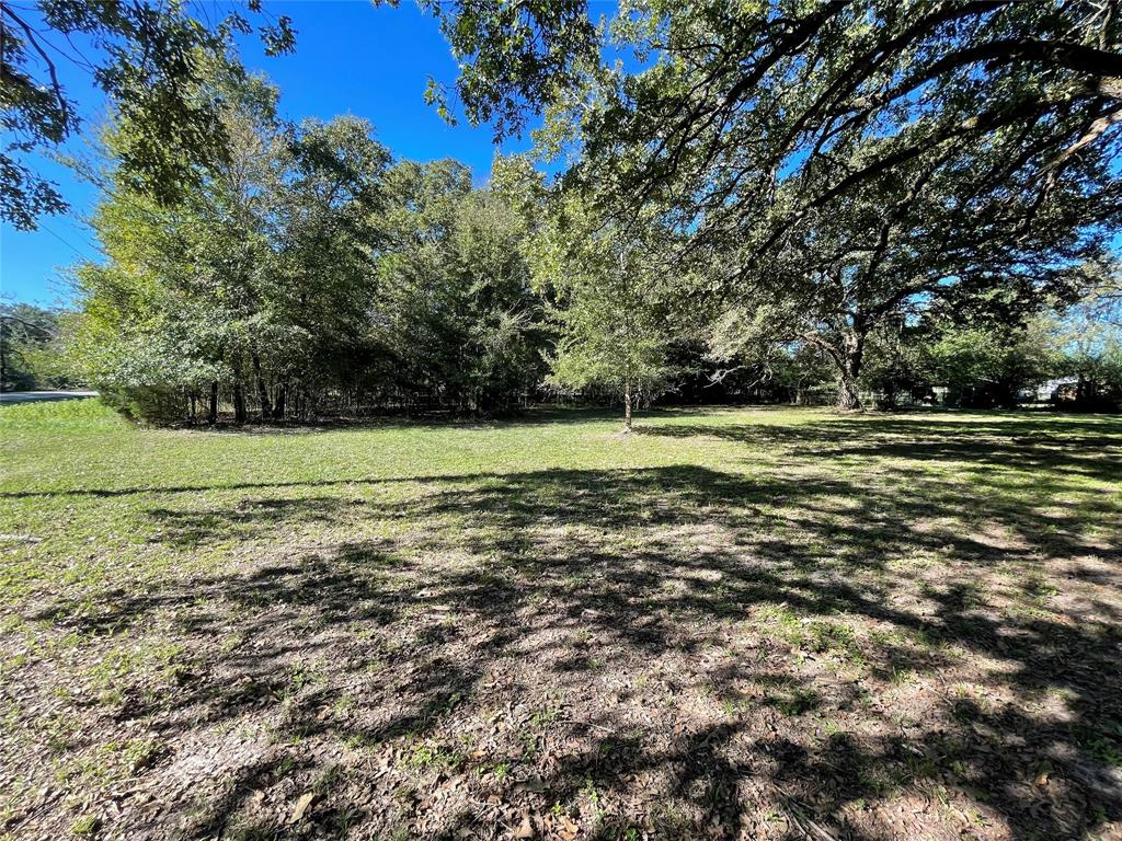 11 Creek Point, Huntsville, Texas image 5