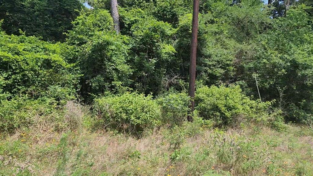 316 Road 5102l, Cleveland, Texas image 18