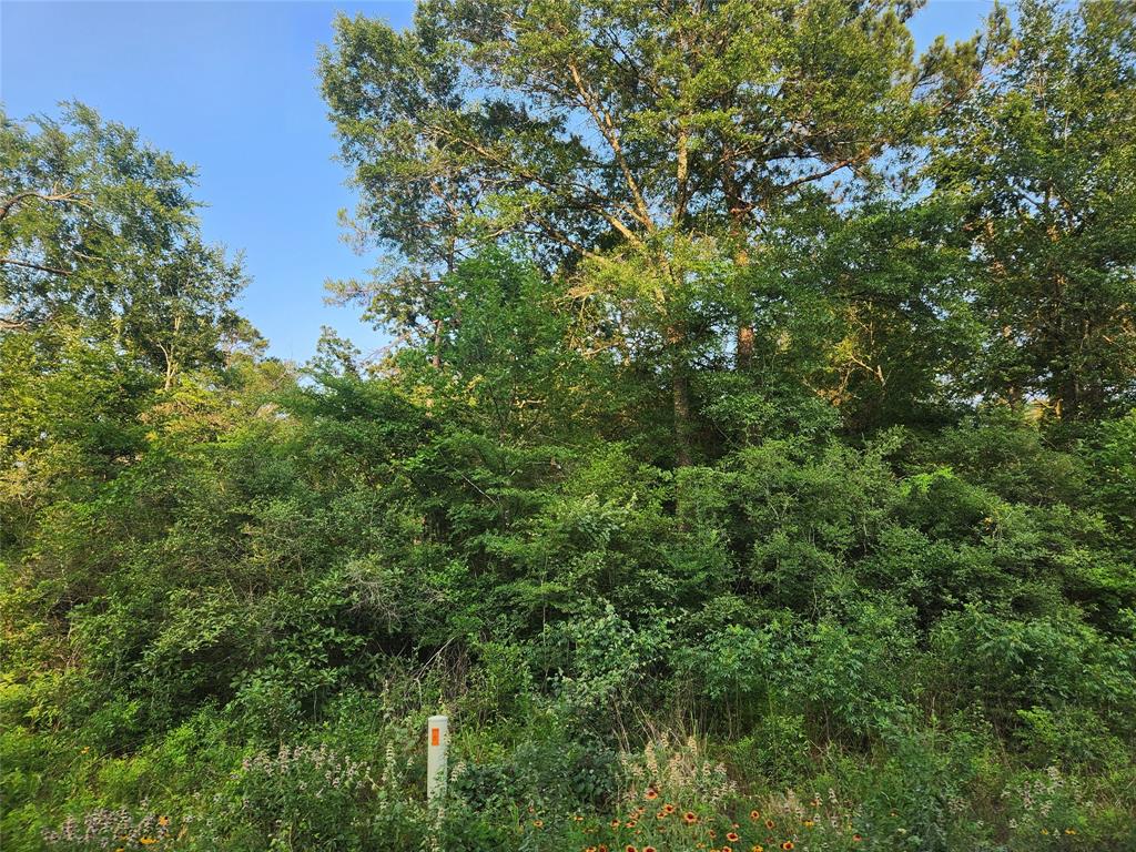 Lot 14 Pineknoll Drive