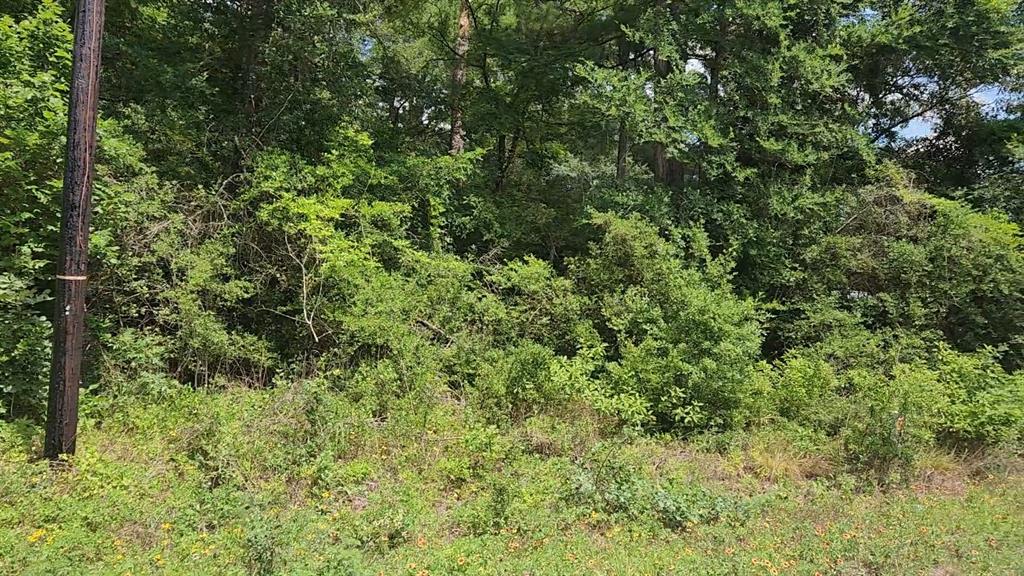 316 Road 5102l, Cleveland, Texas image 25