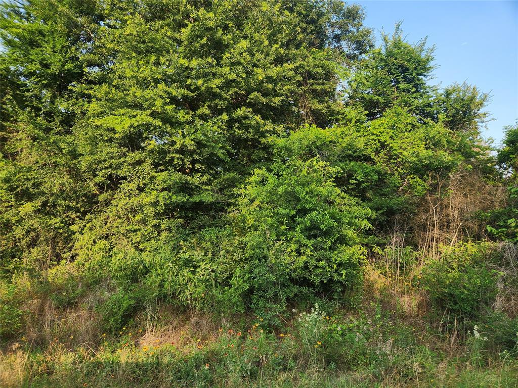 Lot 14 Pineknoll Drive