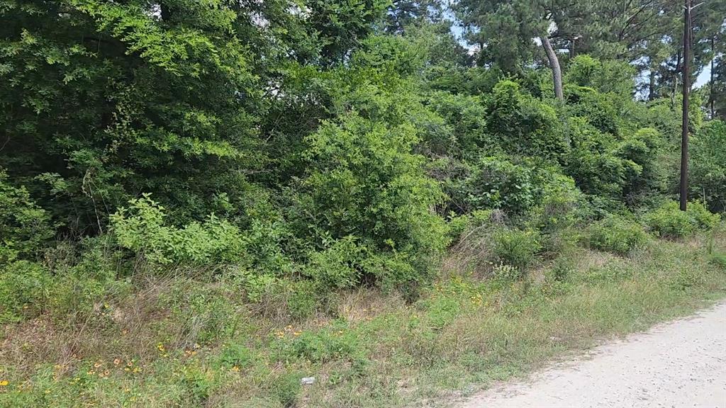 316 Road 5102l, Cleveland, Texas image 20