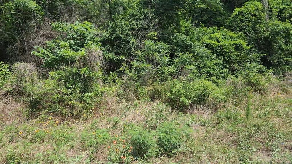 316 Road 5102l, Cleveland, Texas image 24