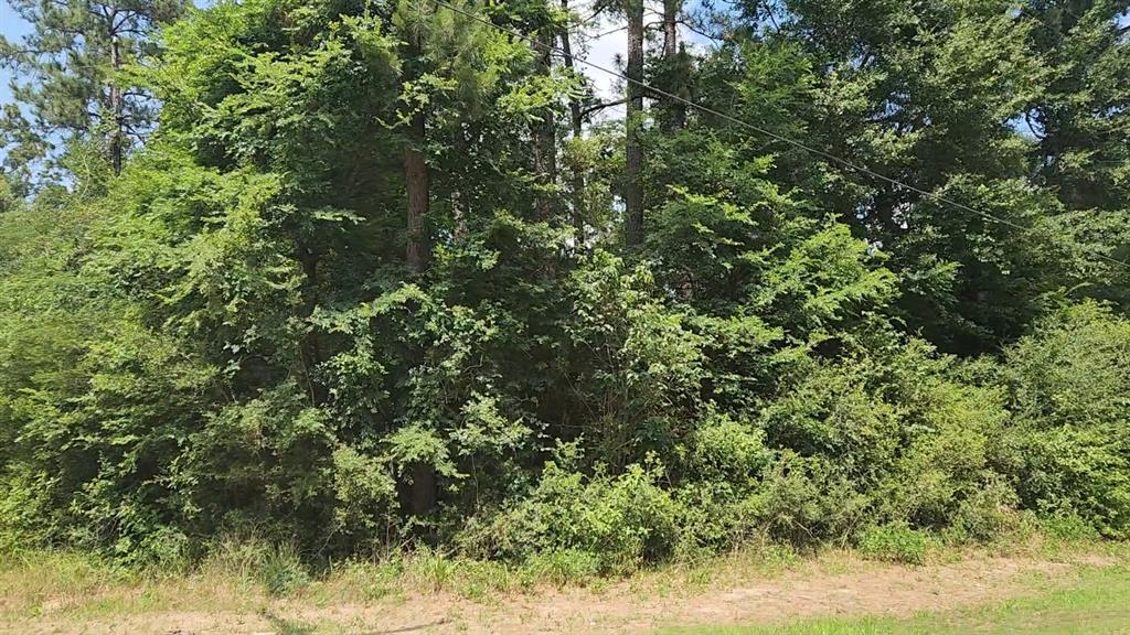 316 Road 5102l, Cleveland, Texas image 27