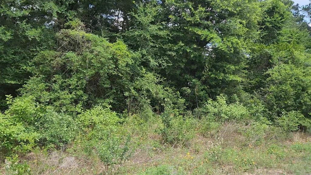 316 Road 5102l, Cleveland, Texas image 21