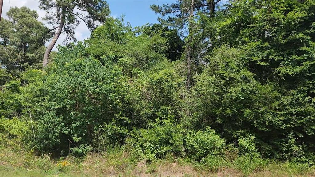316 Road 5102l, Cleveland, Texas image 22