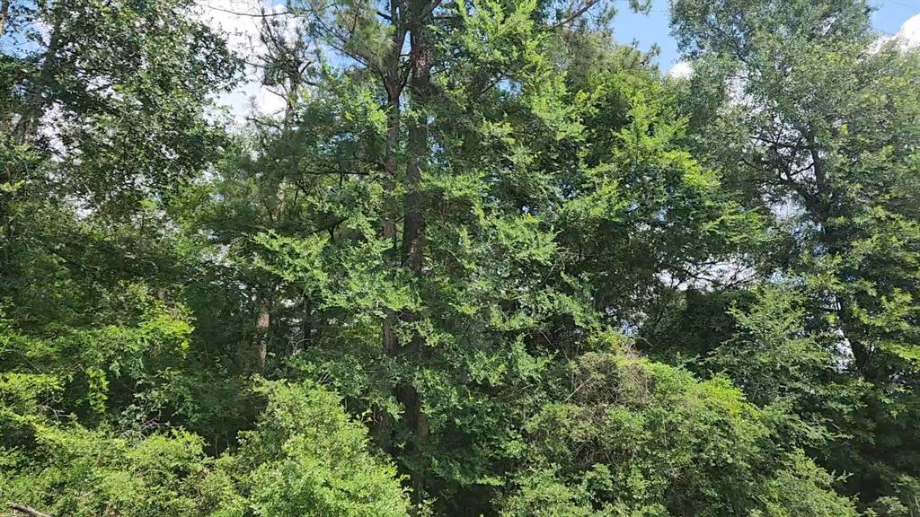316 Road 5102l, Cleveland, Texas image 19