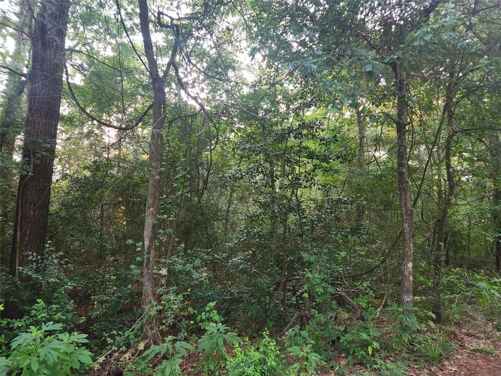 316 Road 5102l, Cleveland, Texas image 10