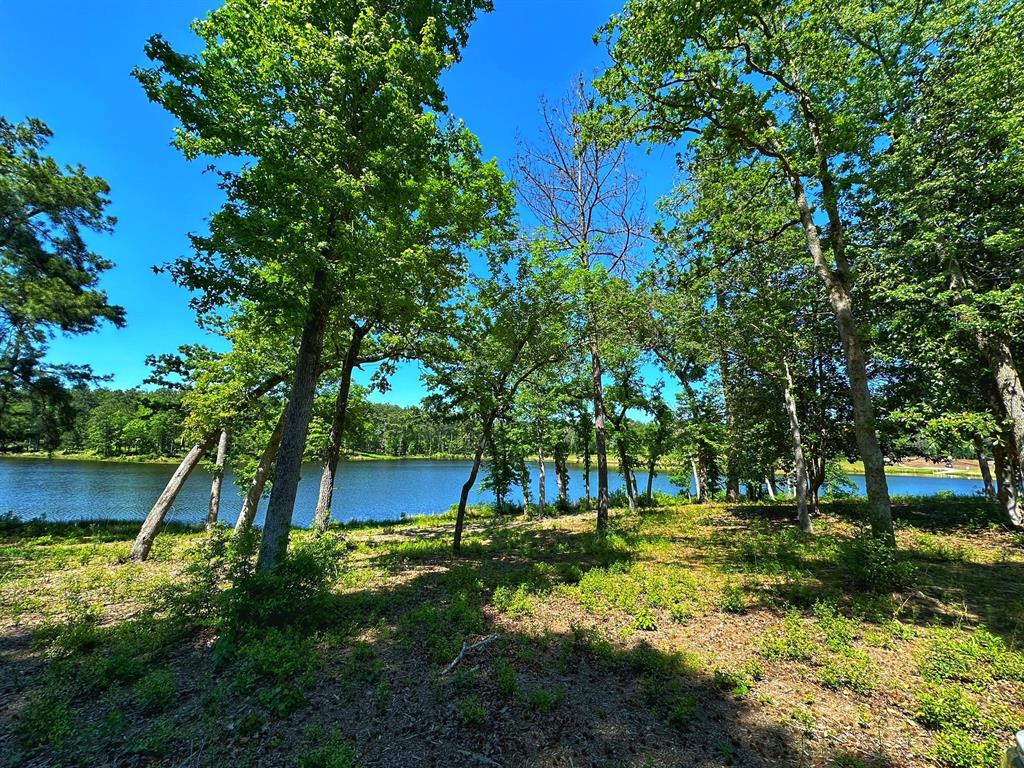 Tract 153 Pr 1311, Centerville, Texas image 4