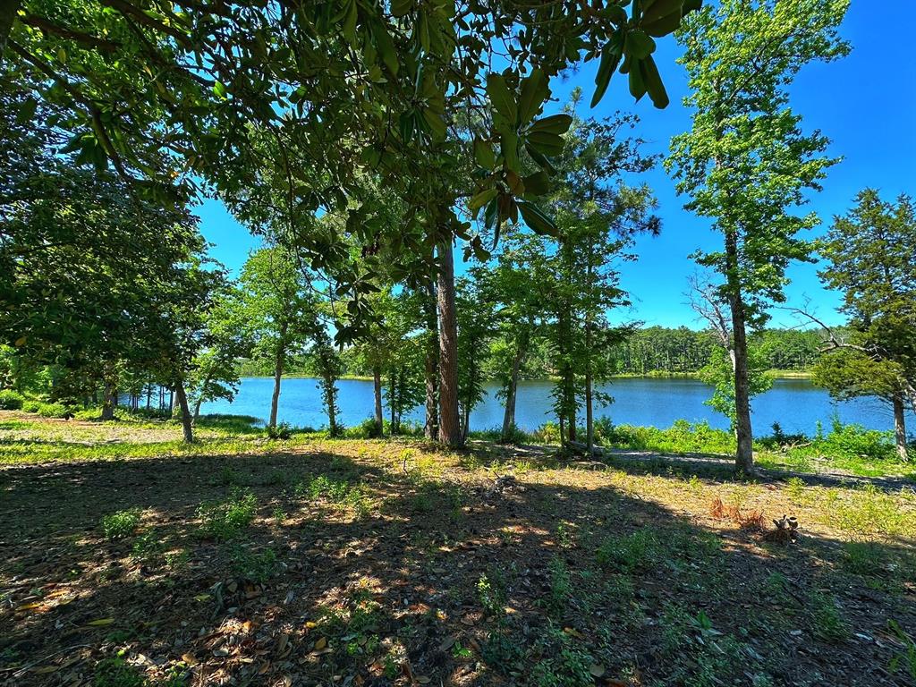 Tract 153 Pr 1311, Centerville, Texas image 5