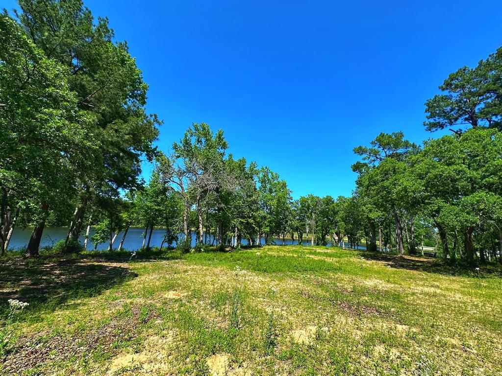 Tract 153 Pr 1311, Centerville, Texas image 12