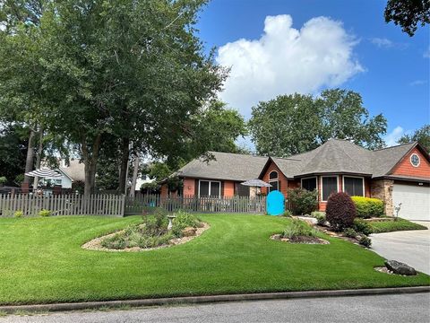 6838 Kingston Cove Lane Willis TX 77318