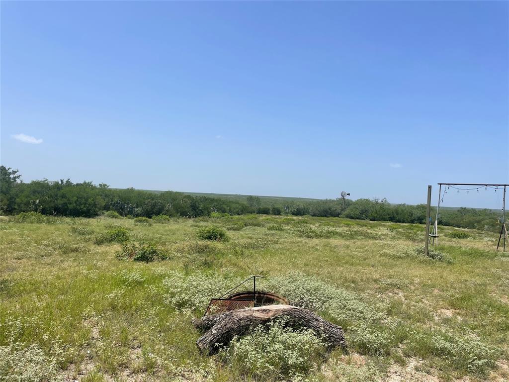 000 Cr 315, Benavides, Texas image 8