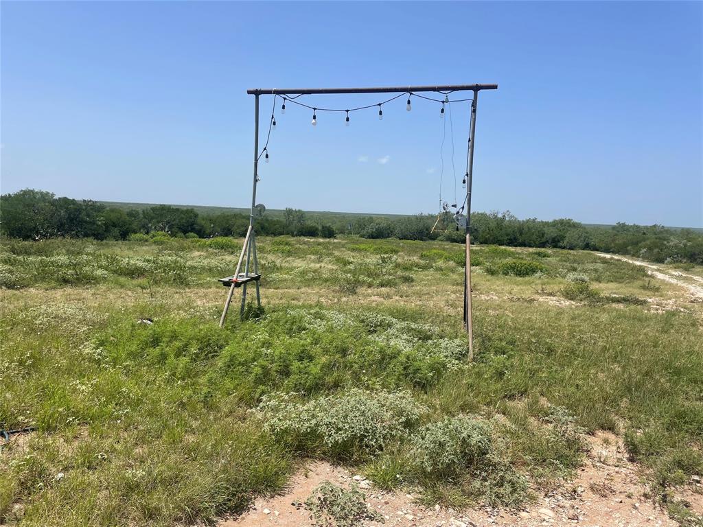 000 Cr 315, Benavides, Texas image 10