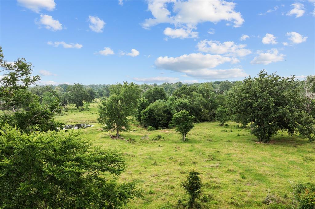 TBD Hwy 6 S, Navasota, Texas image 15