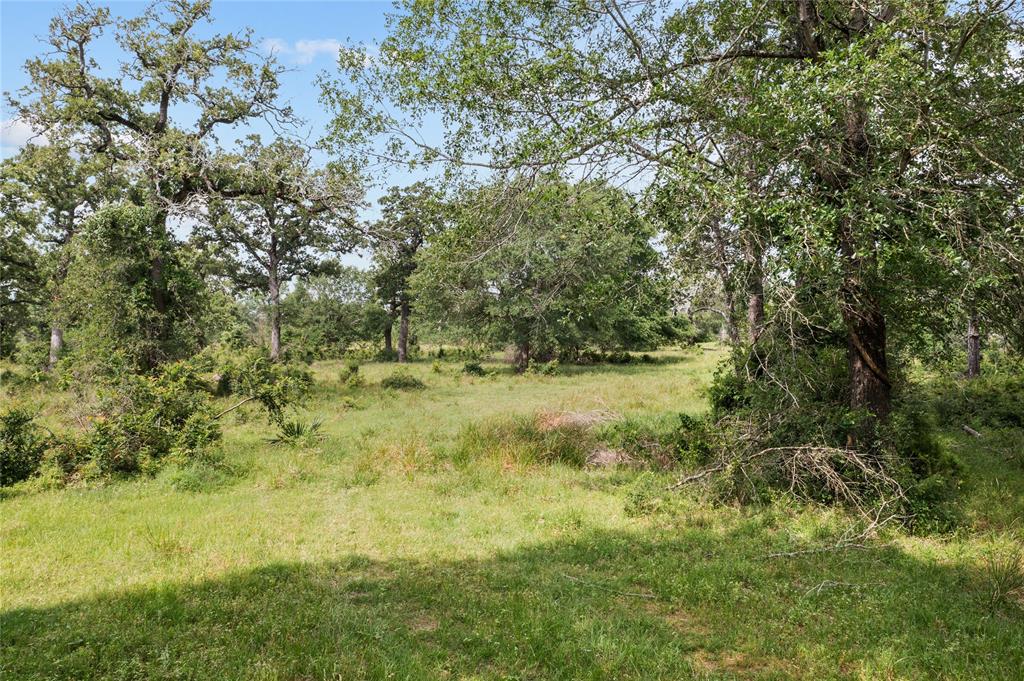 TBD Hwy 6 S, Navasota, Texas image 16