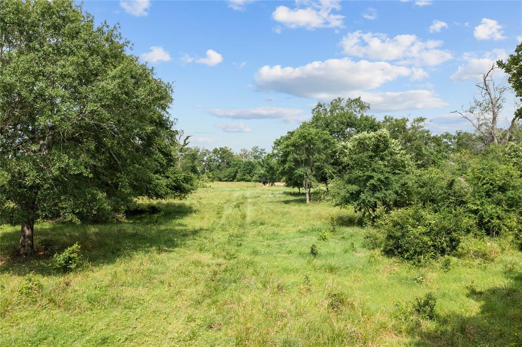 TBD Hwy 6 S, Navasota, Texas image 19