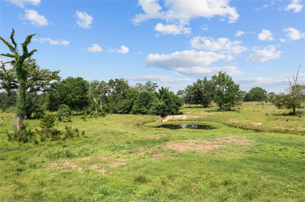 TBD Hwy 6 S, Navasota, Texas image 20
