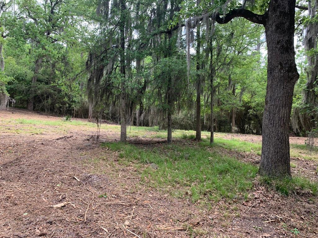 TBD Barretts Landing Road, Trinity, Texas image 8