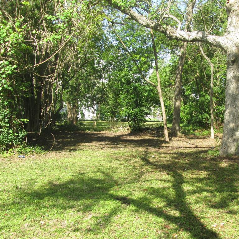 Bayou, La Marque, Texas image 4