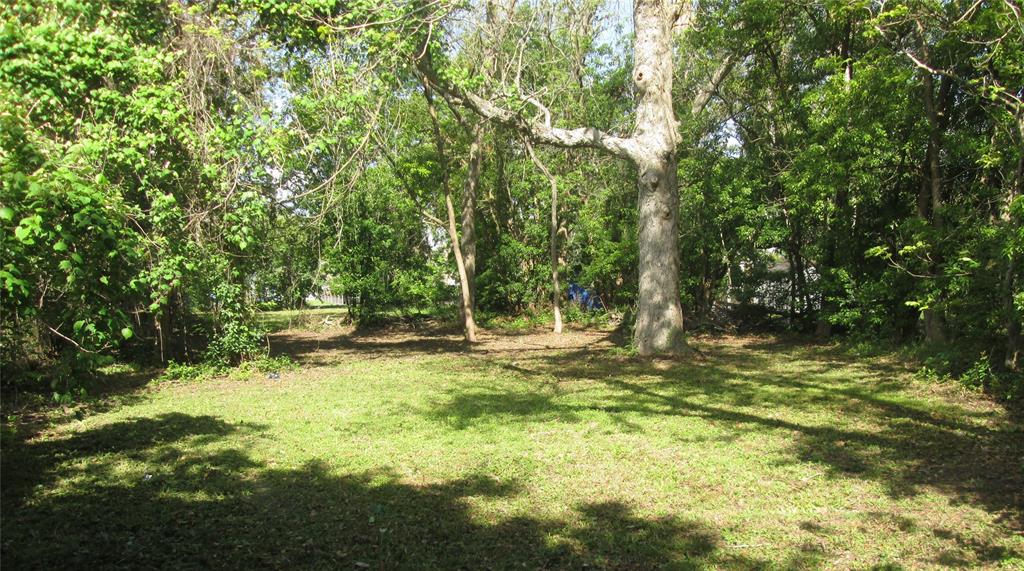 Bayou, La Marque, Texas image 3