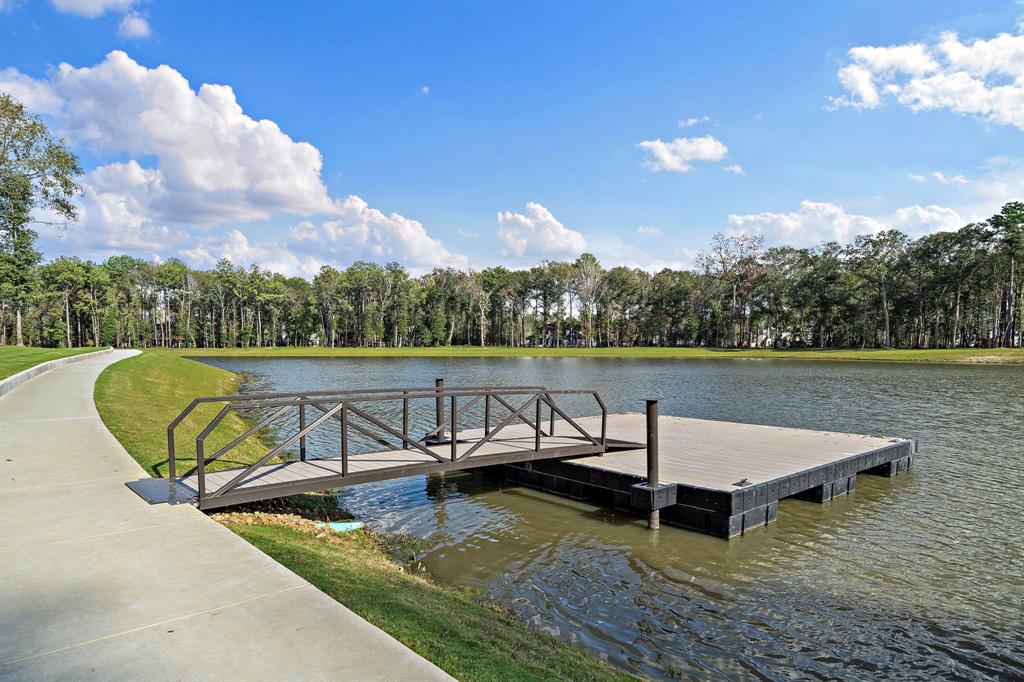 8264 Mount Washburn Lane, Porter, Texas image 11
