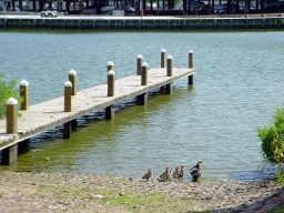 18617 Egret Bay Boulevard #303, Webster, Texas image 2