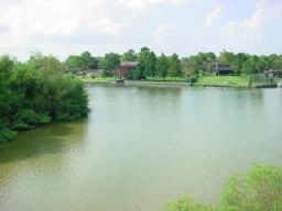 18617 Egret Bay Boulevard #303, Webster, Texas image 3