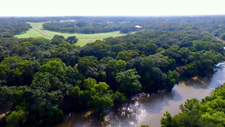 Photo 6 of 12 of 223 River Tree Drive land