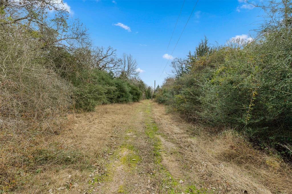 22373 Sh-6 S, Navasota, Texas image 13