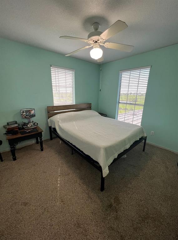 5291 County Road 469, Brazoria, Texas image 7