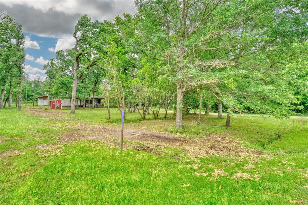 164 Lcr 775, Groesbeck, Texas image 2