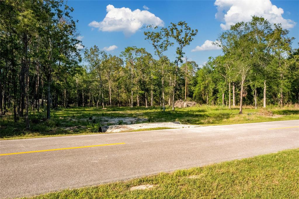 11735 White Oak Trail, Conroe, Texas image 15