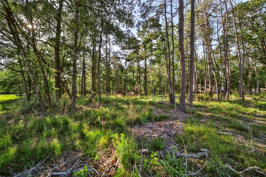 11735 White Oak Trail, Conroe, Texas image 17