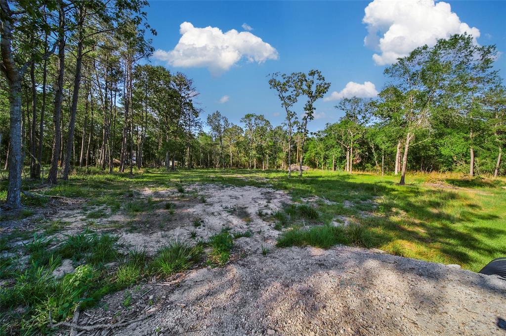 11735 White Oak Trail, Conroe, Texas image 16