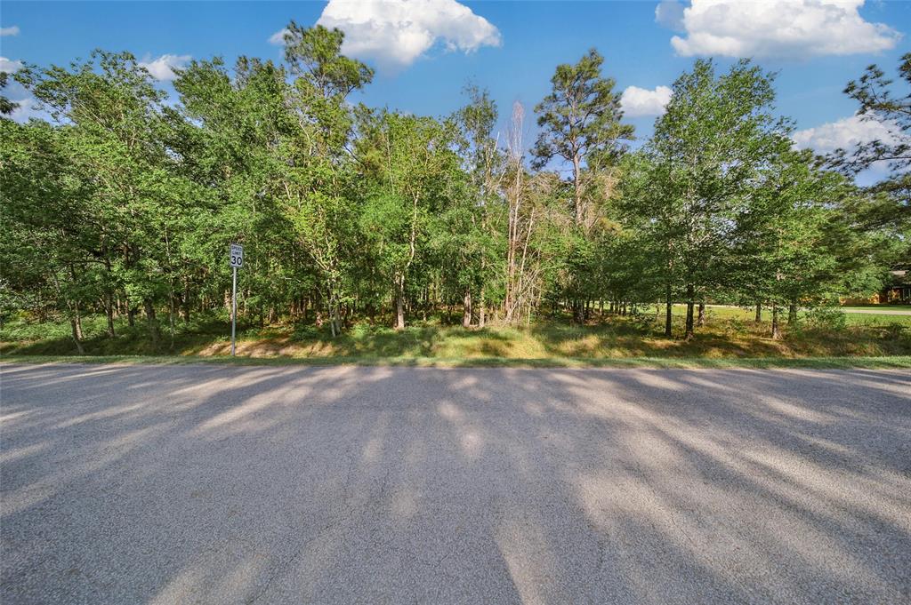 11735 White Oak Trail, Conroe, Texas image 12