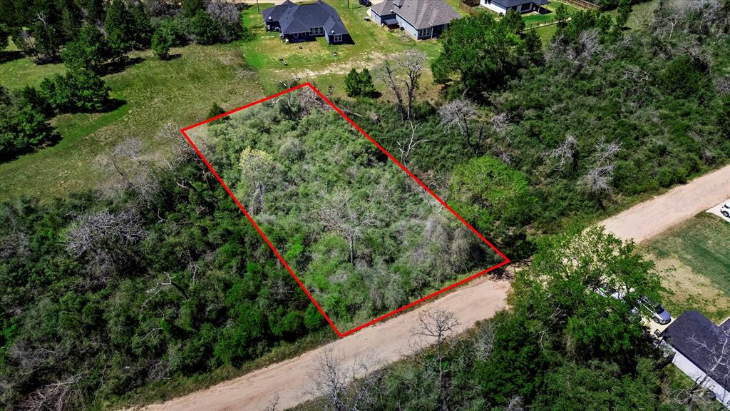 26342 Deerwood Drive, Hempstead, Texas image 13