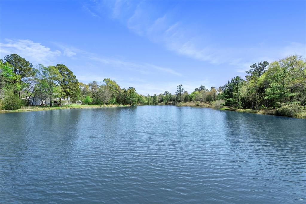 26342 Deerwood Drive, Hempstead, Texas image 3
