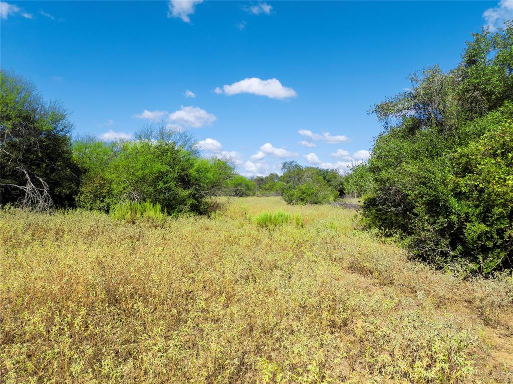 TBD Hagan-mott Road, Yoakum, Texas image 9