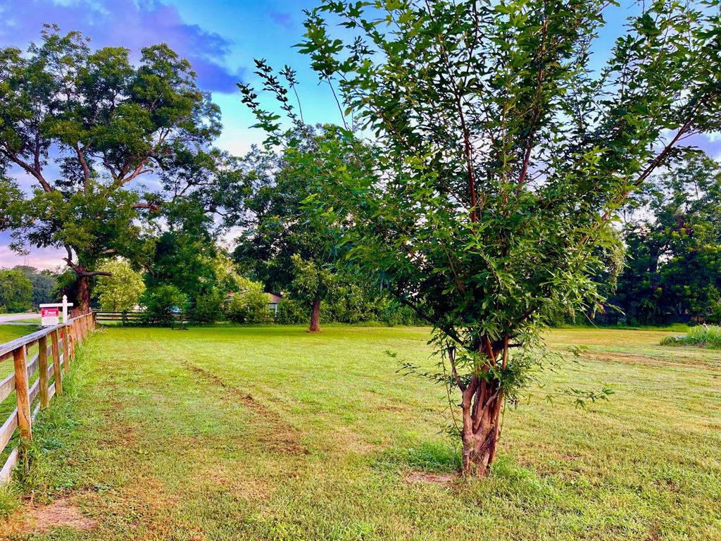 Broncho Road, Simonton, Texas image 5