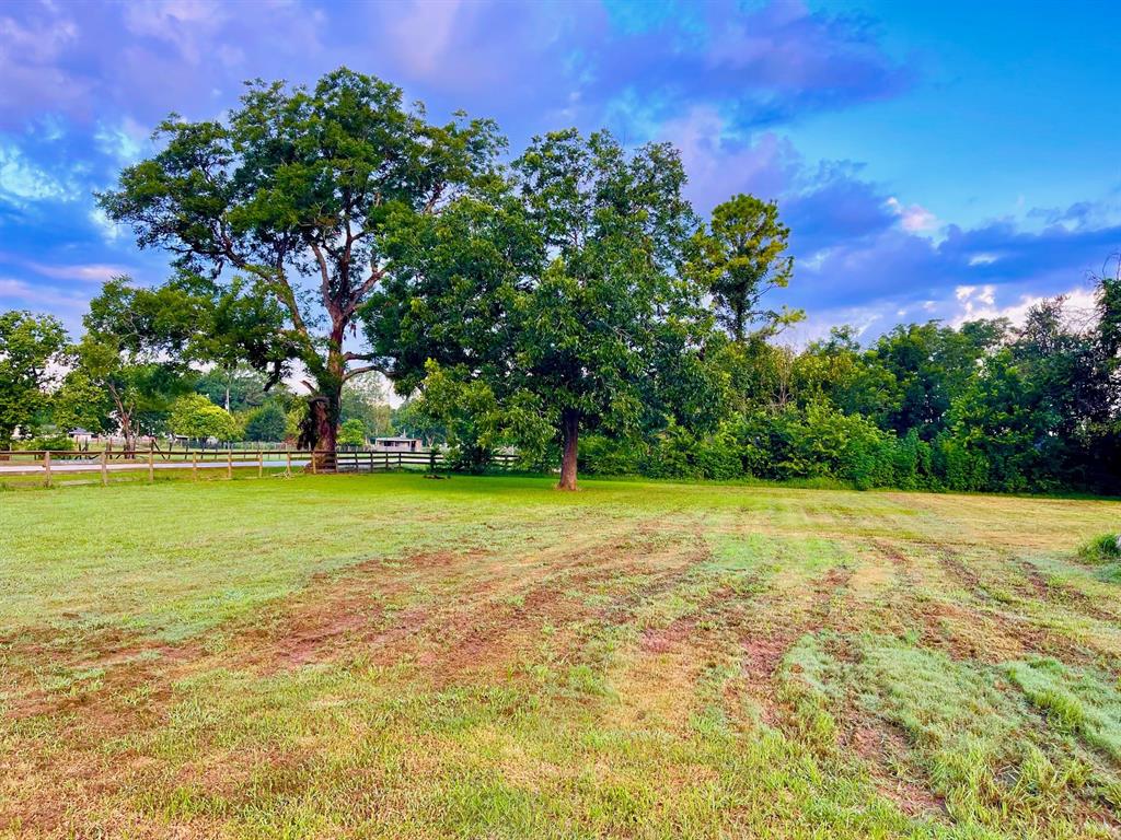 Broncho Road, Simonton, Texas image 15