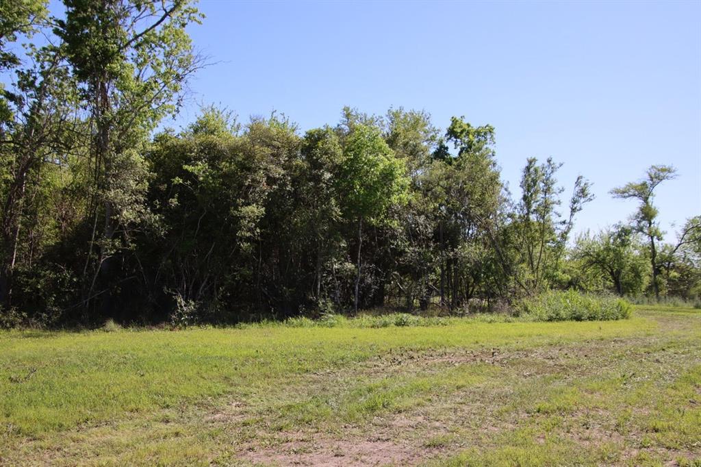 00 Creekside Reserve Court, Washington, Texas image 9