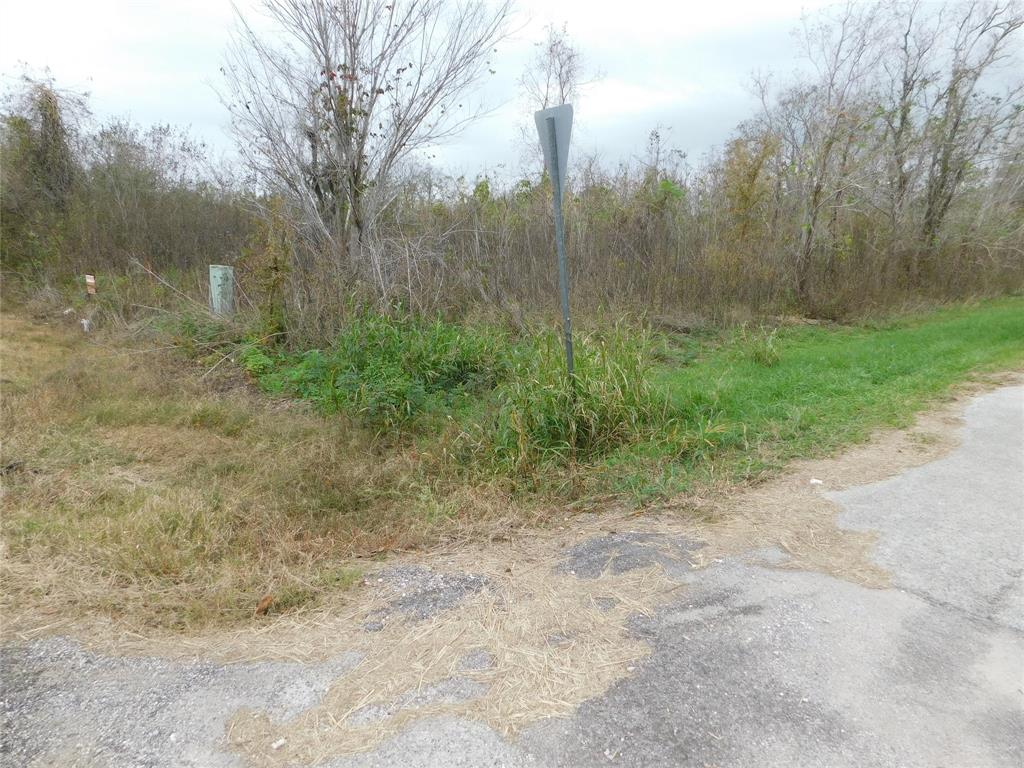 316 & 627 County Road, Brazoria, Texas image 3