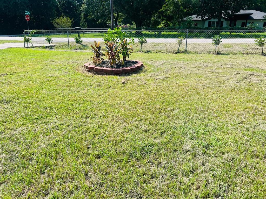 25231 Roesner Lane, Katy, Texas image 20