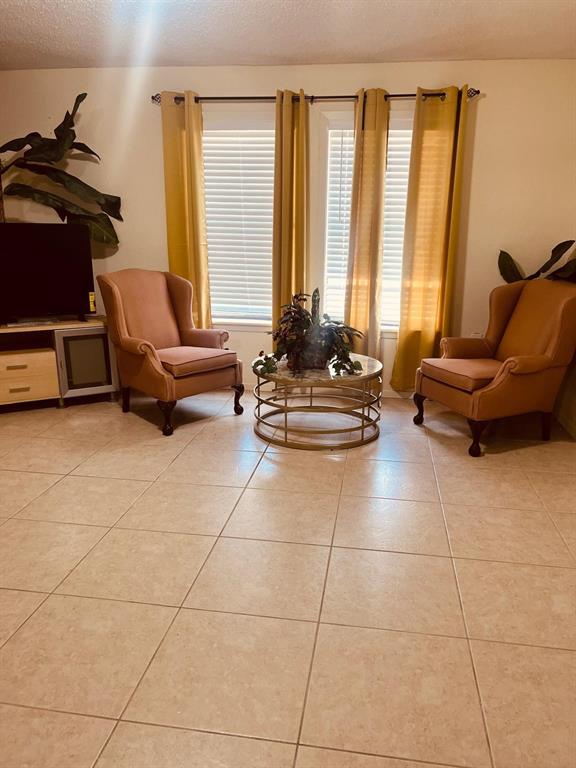 25231 Roesner Lane, Katy, Texas image 8