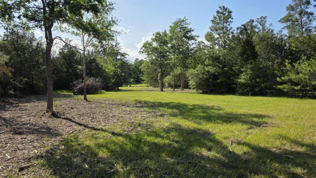729 County Road 4040, Crockett, Texas image 17