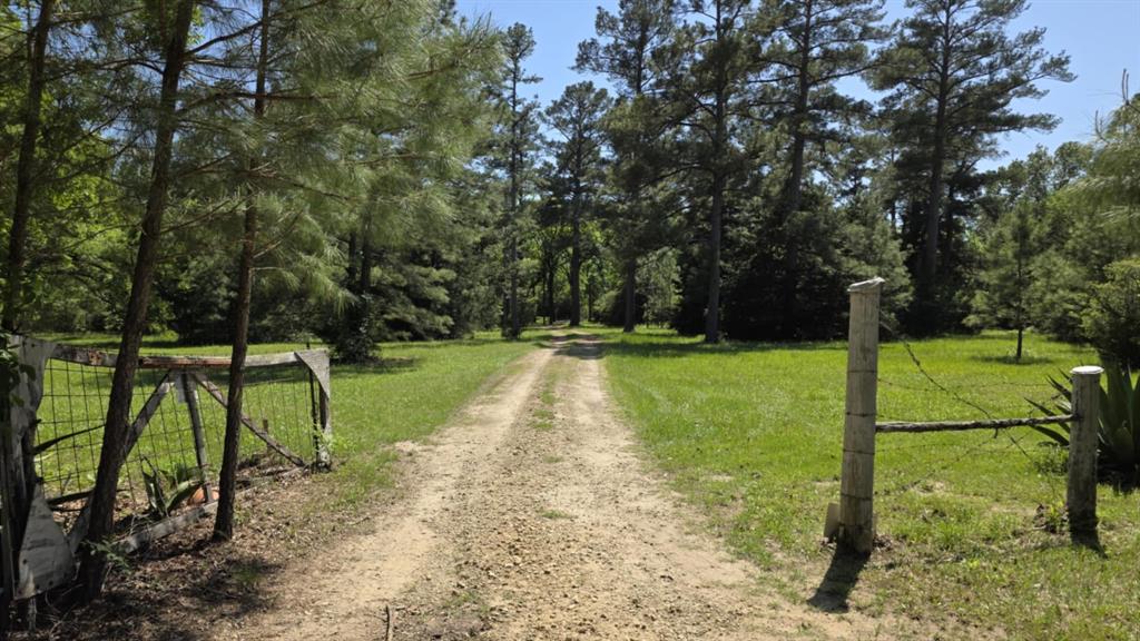 729 County Road 4040, Crockett, Texas image 6