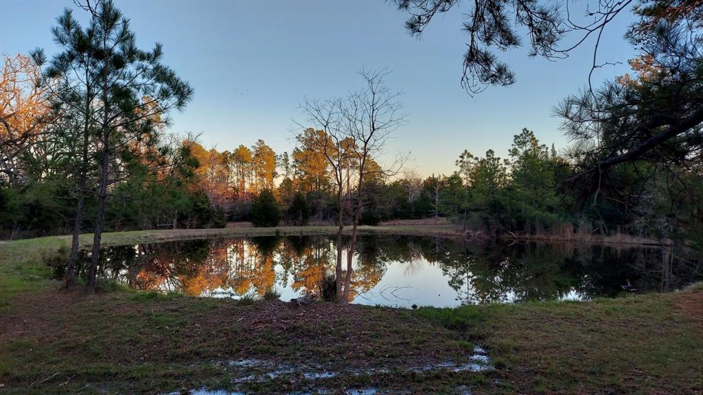 729 County Road 4040, Crockett, Texas image 32