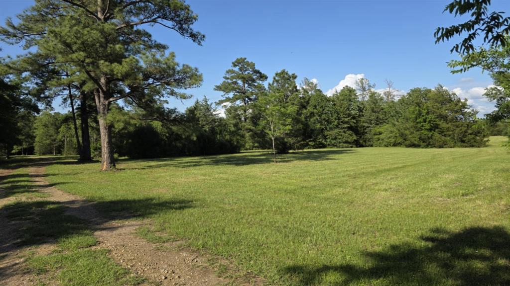 729 County Road 4040, Crockett, Texas image 13