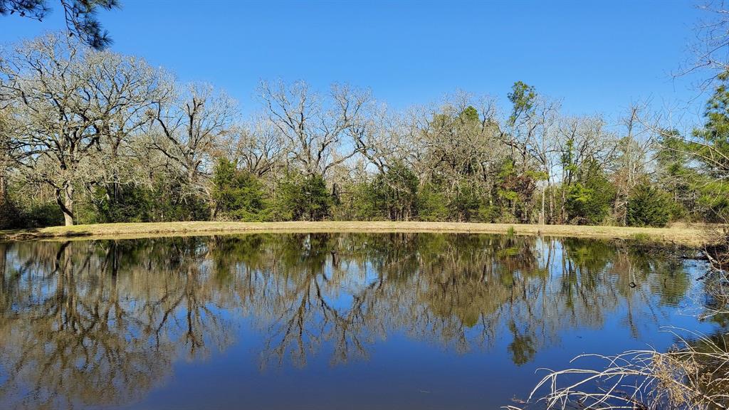 729 County Road 4040, Crockett, Texas image 29